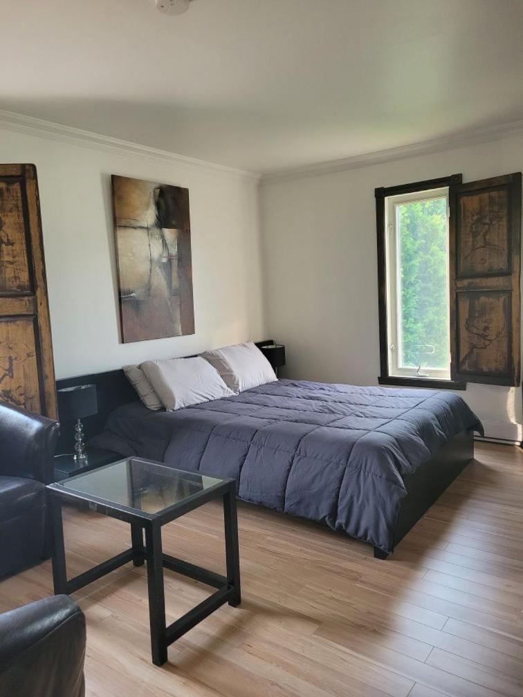 Le Petit Manoir Spa Et Vue Sur Riviere St Maurice Grandes Piles Екстериор снимка